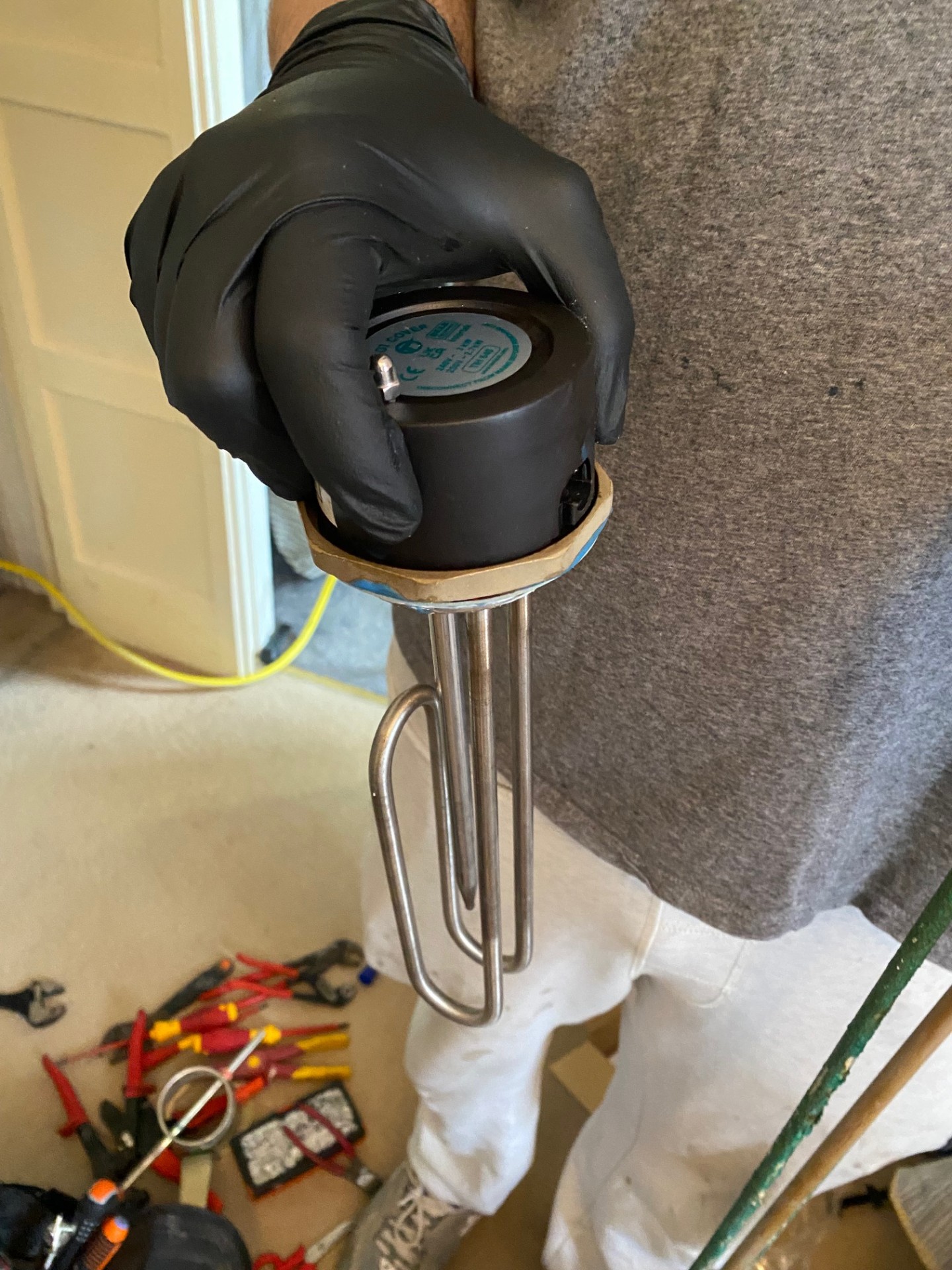 New immersion heater element ready for installation